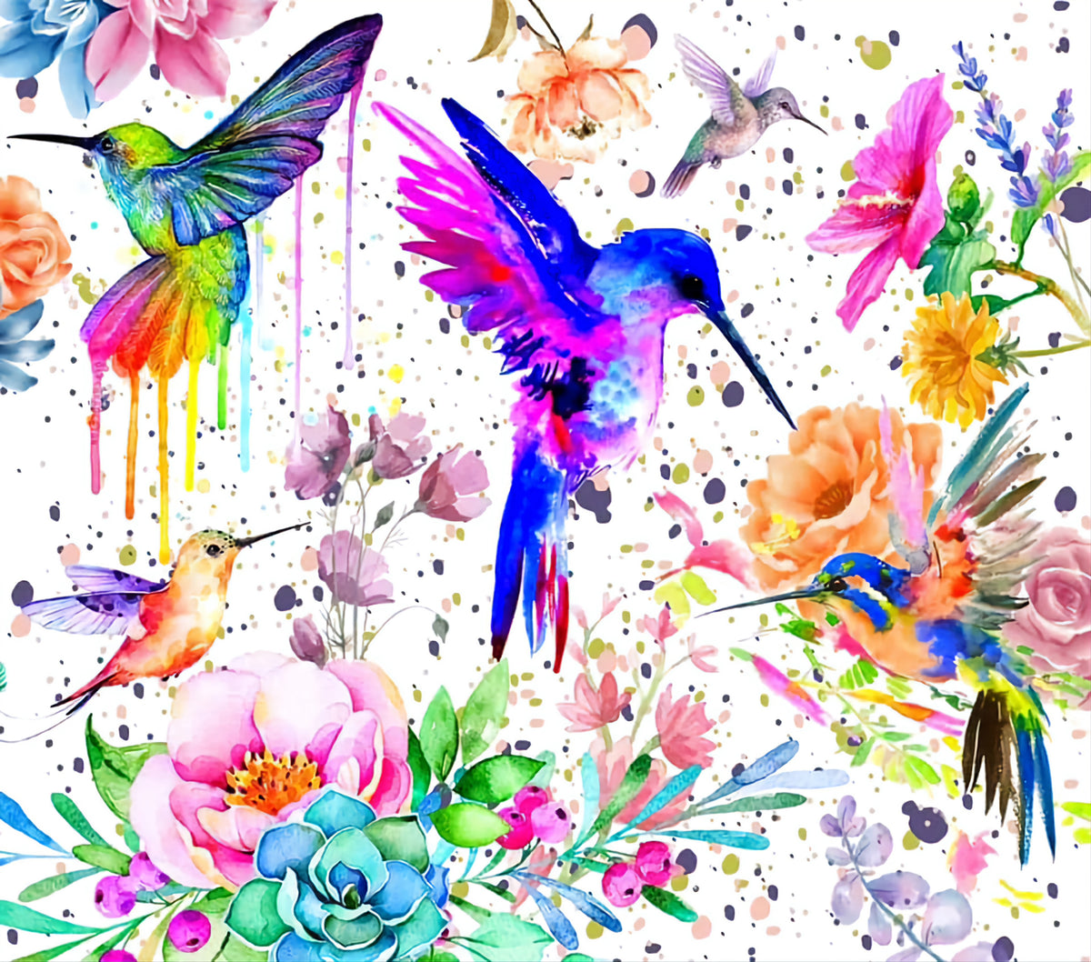 Hummingbird