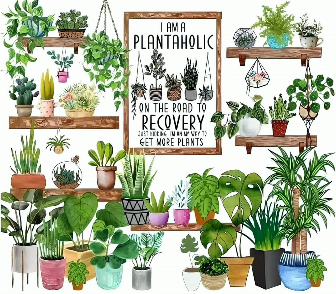 Plant Recovery