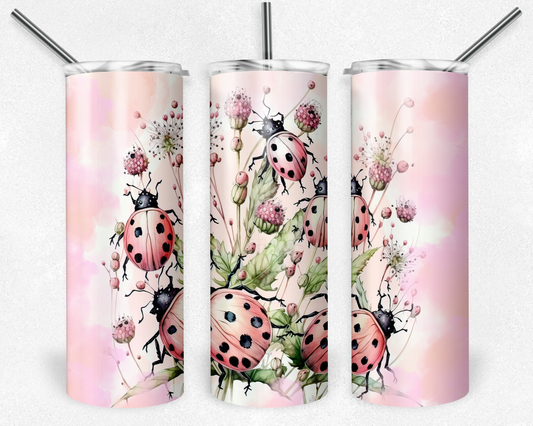 Ladybugs